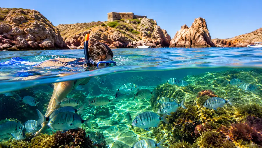Diving and Snorkeling in Berlengas Natural Reserve